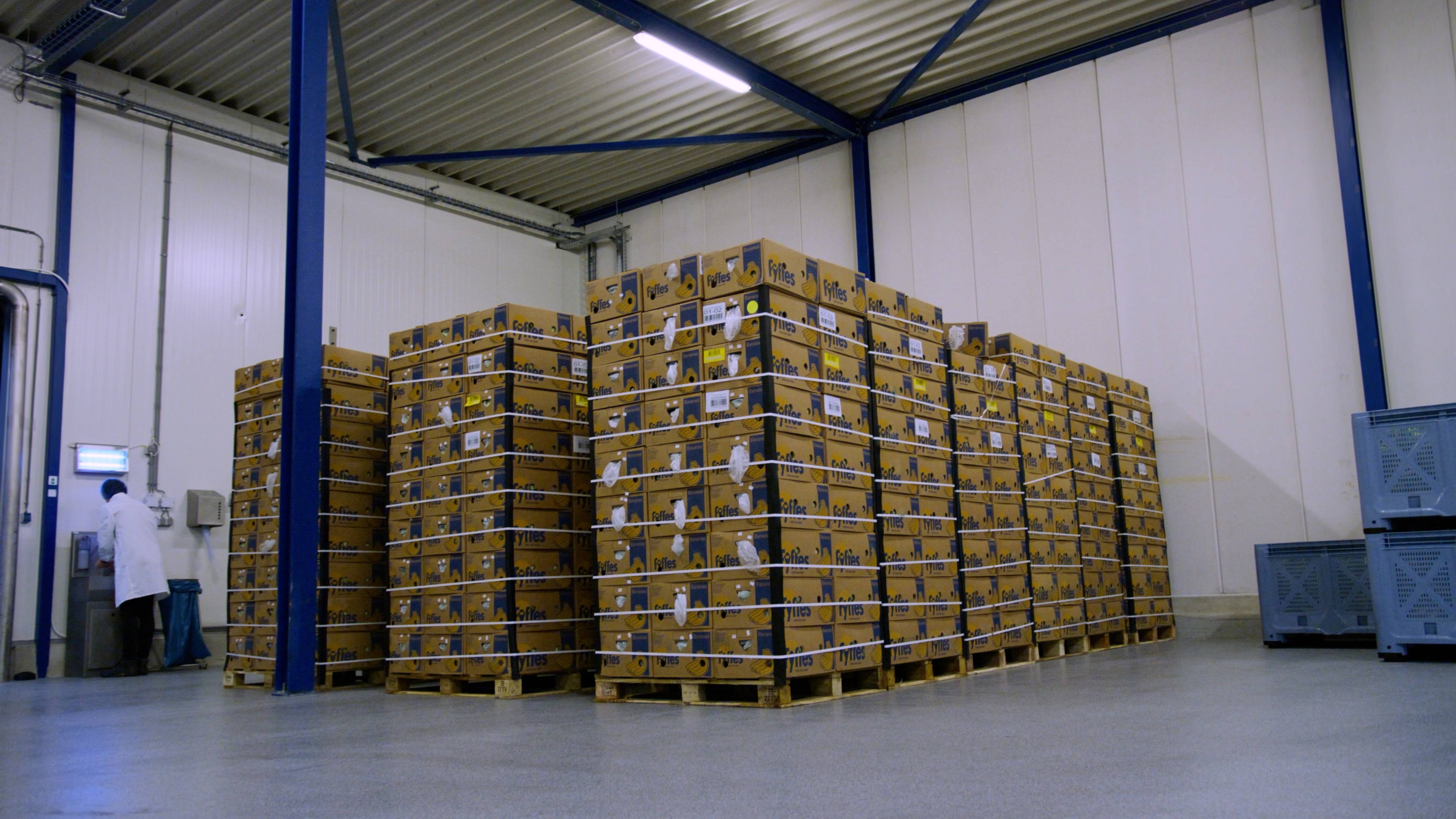 The Banana Factory